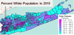 Racial Segregation on Long Island